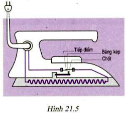 hinh 21 5