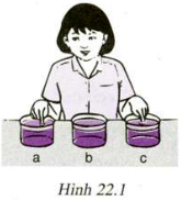 hinh 22 1