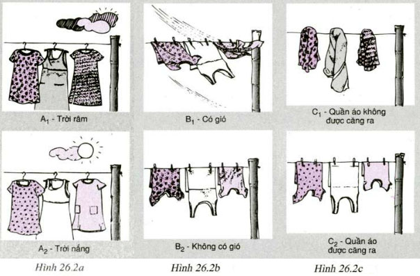 hinh 26 2