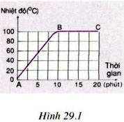 hinh 29 1