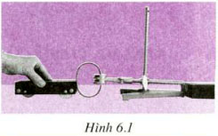 hinh 6 1