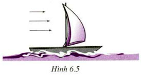 hinh 6 5