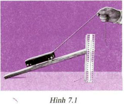 hinh 7 1