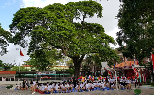 Dàn ý: Tả cây cối