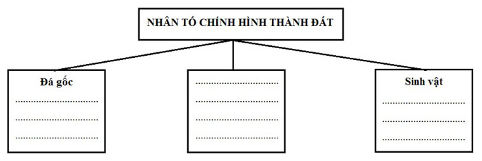 cac nhan to hinh thanh dat