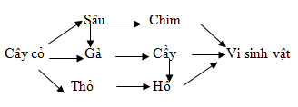 chuoi thuc an