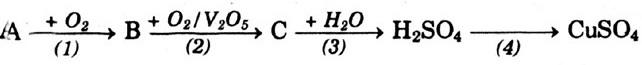 h1