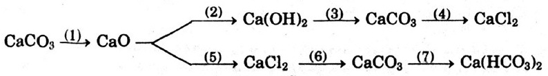 h2
