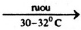 h2