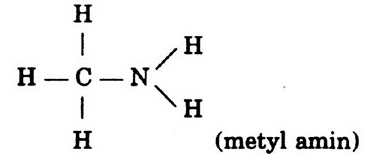 h5