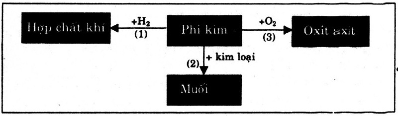 hinh1