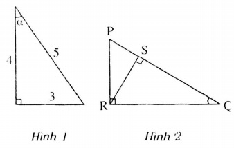 h1