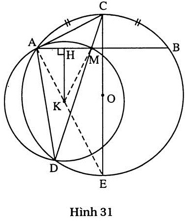 h31