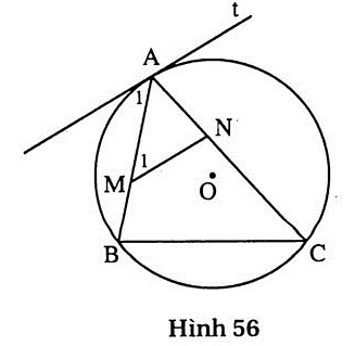 h56