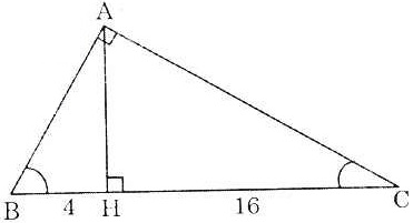 h5
