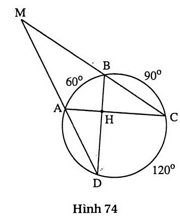 h74