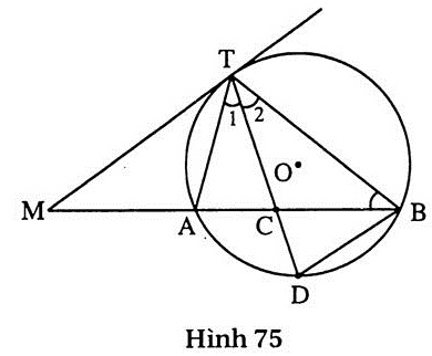 h75