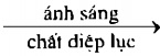 a sang, chat dluc