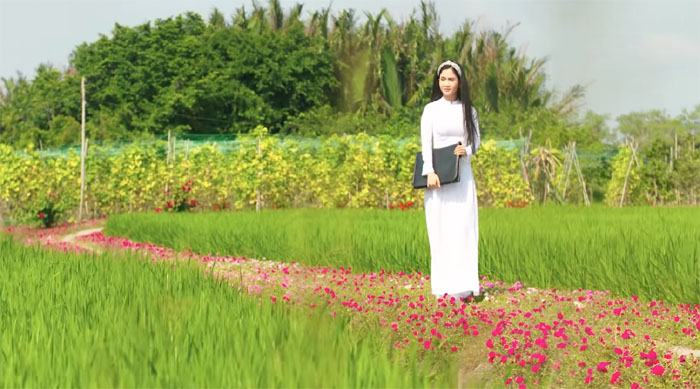 Cảnh thanh bình của miền quê tôi