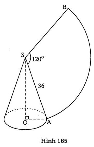 h165