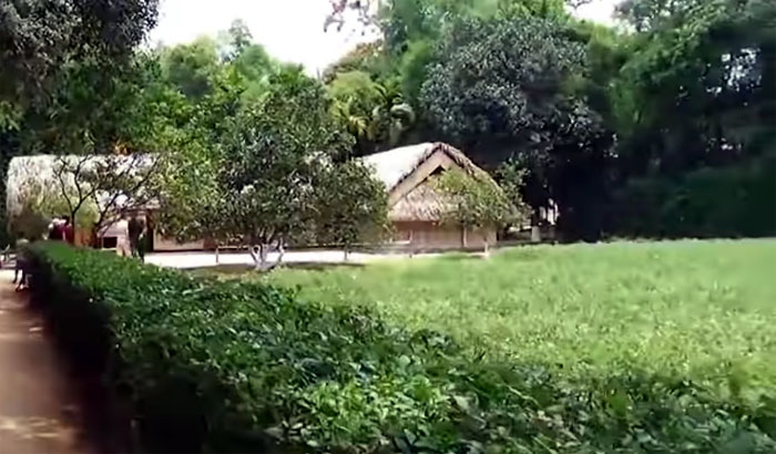 Ngôi nhà của nội