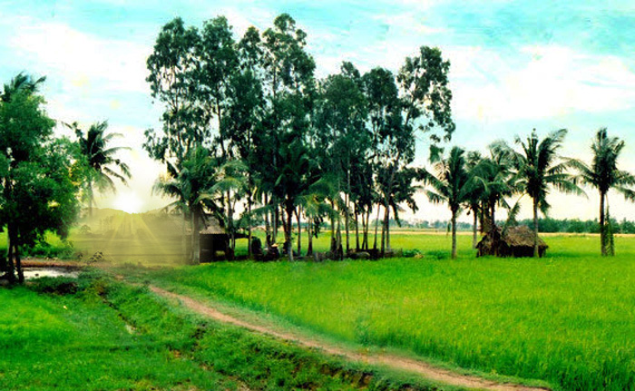 Tả cảnh làng quê em vào buổi sáng đẹp trời