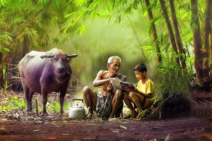 Tả người ông đáng kính của em