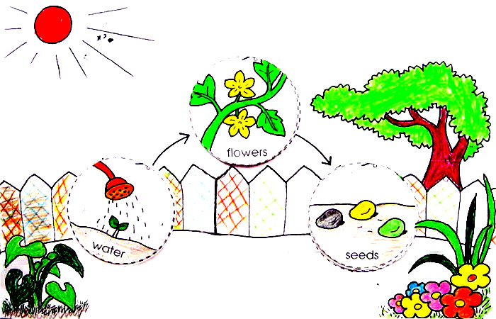 Cuộc tranh luận của Đất, nước, không khí và ánh sáng