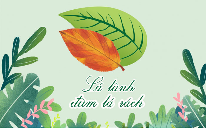 Lập dàn bài: Lá lành đùm lá rách gợi cho em những suy nghĩ gì?