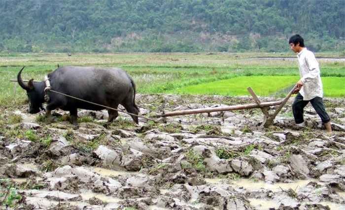 Cảm nhận về bài ca dao: Cày đồng đang buổi ban trưa