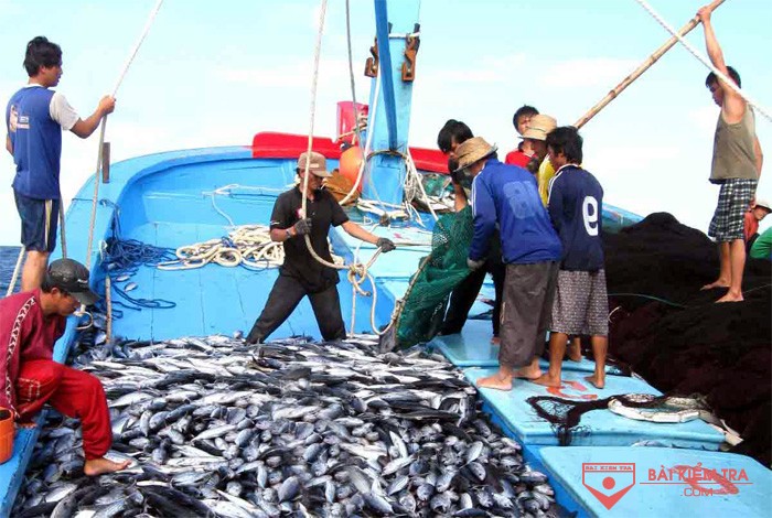 Phân tích bài thơ Đoàn Thuyền Đánh Cá - Huy Cận