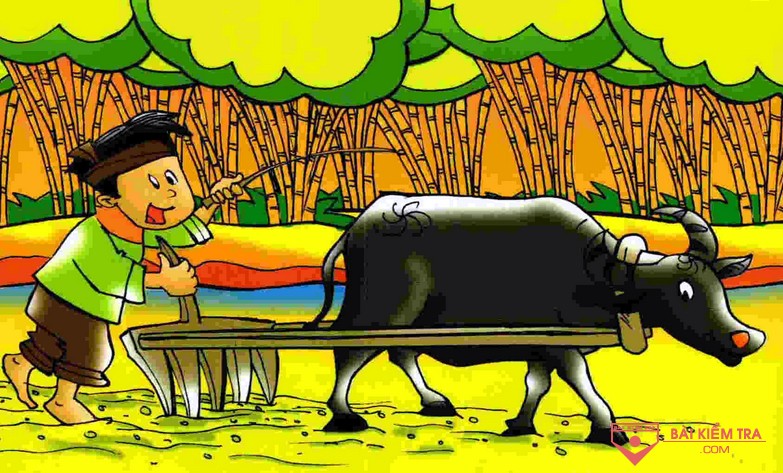 Kế hoạch giáo dục chủ đề: Ngành nghề. Chủ đề nhánh: Bác nông dân làm gì hả mẹ