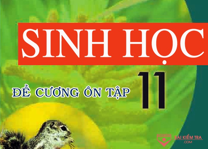 Đề cương ôn tập thi giữa học kì 1, Sinh Học 11
