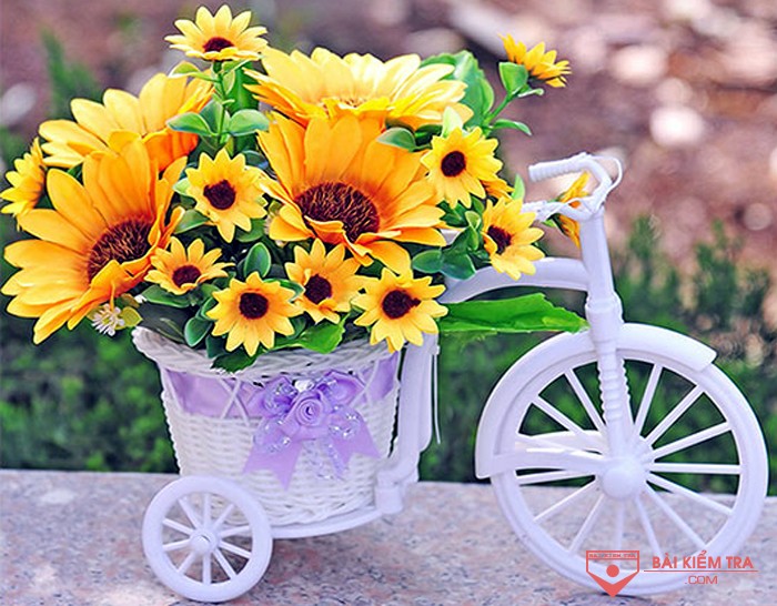 Thuyết trình cắm hoa ngày nhà giáo Việt Nam 20-11