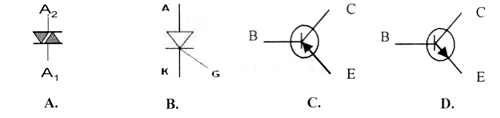 cau 4
