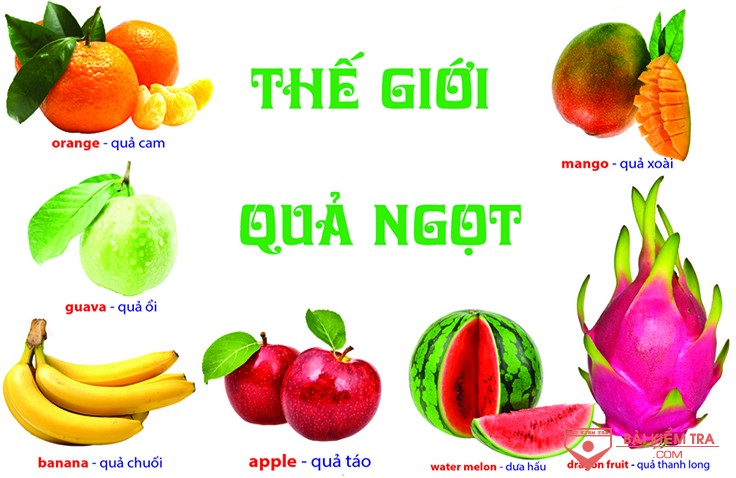 Chủ đề nhánh: Thế giới quả ngọt, ngày thứ sáu