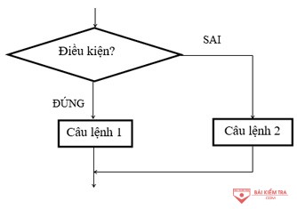 cau truc re nhanh dang day du