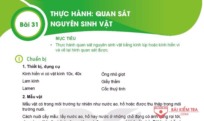 Giải bài tập Khoa học tự nhiên 6, Bài 31: Thực hành: Quan sát nguyên sinh vật