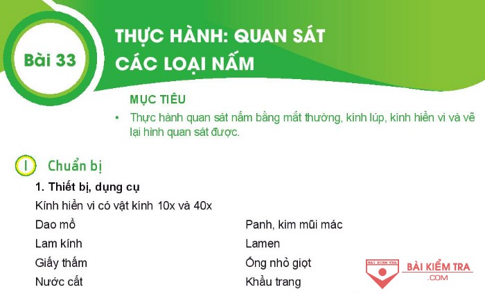 Giải bài tập Khoa học tự nhiên 6, Bài 33. Thực hành quan sát các loại nấm.