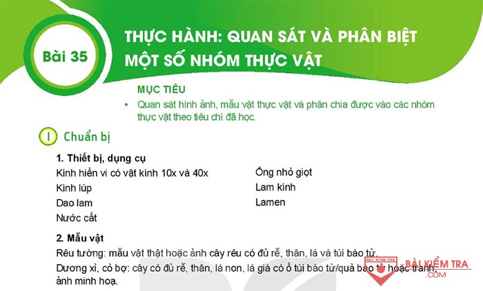 Giải bài tập Khoa học tự nhiên 6, Bài 35: Thực hành: Quan sát và phân biệt một số nhóm thực vật
