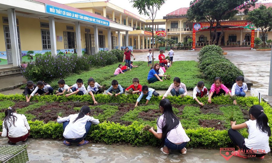 Giáo án lao động, lớp 8
