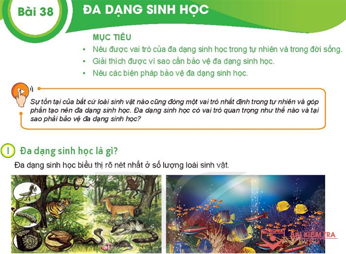 Giải bài tập Khoa học tự nhiên 6, Bài 38. Đa dạng sinh học