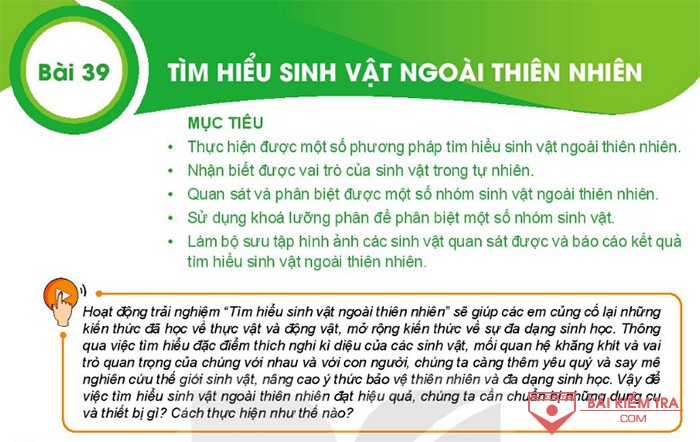 Bài 39  Tìm hiểu sinh vật ngoài thiên nhiên