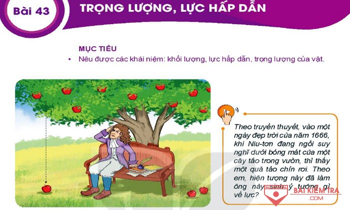 Giải bài tập Khoa học tự nhiên 6, Bài 43: Trọng lượng, lực hấp dẫn