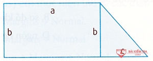 cau 21