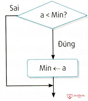 cau 8