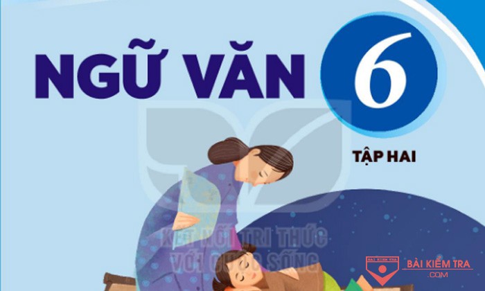 Đề cương ôn tập cuối học kì 2, môn: Ngữ Văn 6