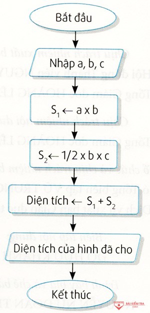tl cau 21