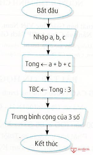 tl cau 22