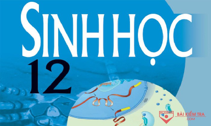 254 câu trắc nghiệm ôn tập kiểm tra cuối kì 2, môn Sinh học 12